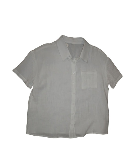 Collared Shirt